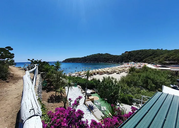 Orchidea Lägenhet Fetovaia