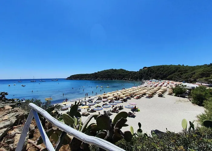 Orchidea Апартаменты Фетовайя