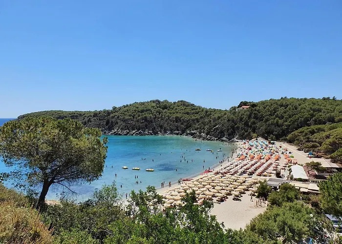 Orchidea Lejlighed *